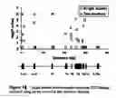 Fig. 21 - IL-ILI gene and polypeptide products