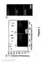 Fig. 05 - Arrays of supported biomembranes and uses thereof
