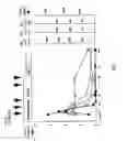 Fig. 02 - Method and reagent for detecting cell death