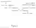Fig. 02 - Methods for the detection and/or quantification of gram positive bacterial contaminants