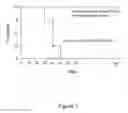 Fig. 06 - Chimeric nucleic acids encoding polypeptides comprising CD154 and TNF-α