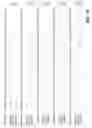 Fig. 02 - FEN endonucleases