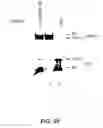 Fig. 85 - FEN endonucleases