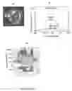 Fig. 09 - Polymeric film sensor for polycyclic aromatic hydrocarbons