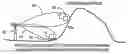 Fig. 01 - Reducing the effect of signal interference in null areas caused by overlapping antenna patterns