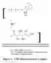 Fig. 02 - Topical delivery of trace metals for skin care