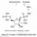 Fig. 09 - Topical delivery of trace metals for skin care