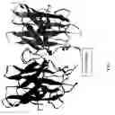 Fig. 02 - Compositions and methods for treating amyotrophic lateral sclerosis (ALS)