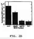 Fig. 06 - Compositions and methods for treating amyotrophic lateral sclerosis (ALS)