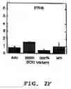 Fig. 08 - Compositions and methods for treating amyotrophic lateral sclerosis (ALS)