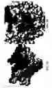 Fig. 09 - Compositions and methods for treating amyotrophic lateral sclerosis (ALS)