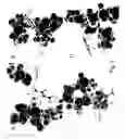 Fig. 13 - Compositions and methods for treating amyotrophic lateral sclerosis (ALS)