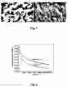 Fig. 02 - Polymer composite membrane and method of making the same