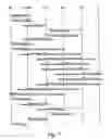 Fig. 08 - Method, system and apparatus to support hierarchical mobile ip services