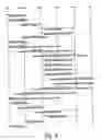 Fig. 09 - Method, system and apparatus to support hierarchical mobile ip services