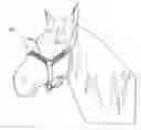 Fig. 01 - Continuous duty equine halter