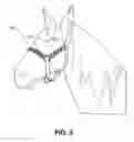 Fig. 04 - Continuous duty equine halter