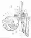 Fig. 02 - Powered saw apparatus