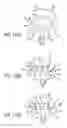 Fig. 12 - Pipe body and forming method of the same