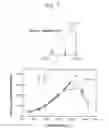 Fig. 02 - Process for producing heat-resistant intermetallic compound Ni3Al foil having room-temperature ductility and heat-resistant intermetallic compound Ni3Al foil having room-temperature ductility