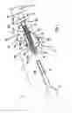 Fig. 02 - Shaft for a motor vehicle steering column and associated assembly process