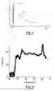 Fig. 03 - Whole spectrum fluorescence detection with ultrafast white light excitation