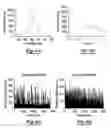 Fig. 04 - Whole spectrum fluorescence detection with ultrafast white light excitation