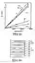 Fig. 30 - Magnetic cell and magnetic memory