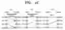 Fig. 05 - Switching device of networks-on-chip system and scheduling method thereof