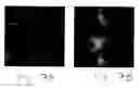 Fig. 07 - Efficient room-temperature source of polarized single photons