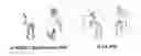 Fig. 01 - Optical flow estimation method