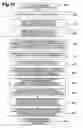 Fig. 35 - Motion image encoding apparatus, motion image decoding apparatus, motion image encoding method, motion image decoding method, motion image encoding program, and motion image decoding program