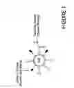 Fig. 02 - Delivery system for nucleic acids