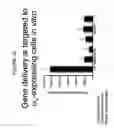 Fig. 11 - Delivery system for nucleic acids