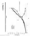 Fig. 14 - Delivery system for nucleic acids