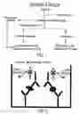 Fig. 02 - Method for screening compounds against by using persistent virus-infected cell system