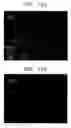 Fig. 09 - Microfluidic chip for multiple bioassay and method of manufacturing the same