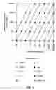 Fig. 07 - Business methods for assessing nucleic acids