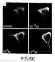 Fig. 09 - Methods of assaying receptor activity