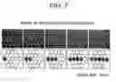 Fig. 08 - Nanobio device of imitative anatomy structure