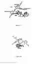 Fig. 06 - Methods for identifying agents that modulate apoptosis in cells that over-express a Bcl-2 family member protein