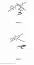 Fig. 07 - Methods for identifying agents that modulate apoptosis in cells that over-express a Bcl-2 family member protein