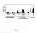 Fig. 08 - Methods for identifying agents that modulate apoptosis in cells that over-express a Bcl-2 family member protein