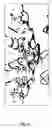 Fig. 05 - Crystal structure of worm NitFhit reveals that a Nit tetramer binds tow Fhit dimers