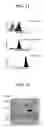 Fig. 09 - Processing for producing and crystallizing G-protein coupled receptors