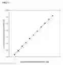Fig. 06 - Detection of superoxide ions