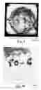 Fig. 07 - Method of making LED encapsulant with undulating surface