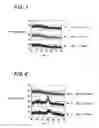 Fig. 03 - Memory device comprising a memory layer and a metal chalcogenide ion-source layer