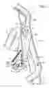 Fig. 10 - Elliptical exercise equipment with stowable arms