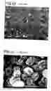 Fig. 09 - Molecular sieve layers and processes for their manufacture